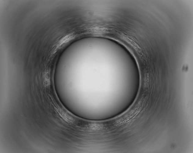 X0000101231451200806271500