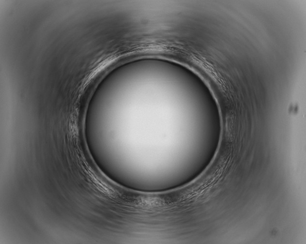 X0000101231452200806271500