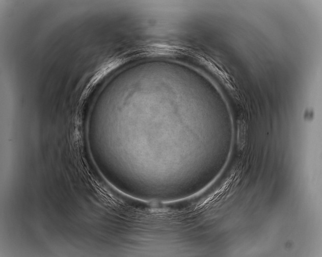X0000101231453200806271500