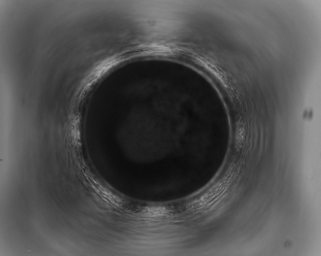 X0000101231455200806271500