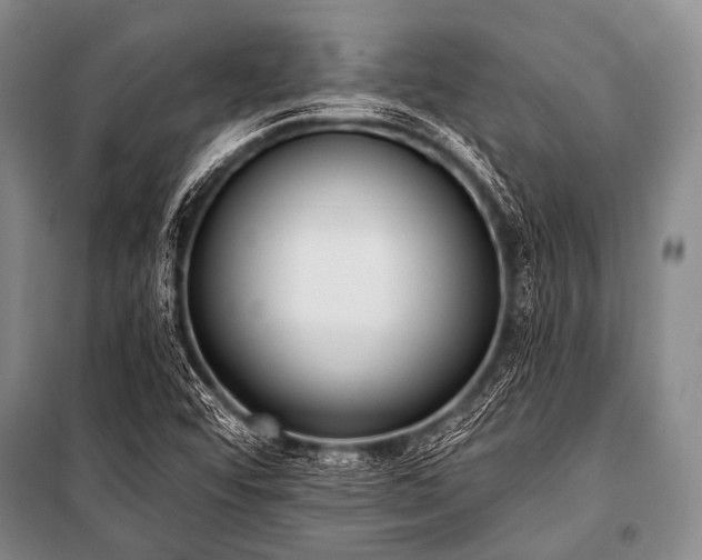 X0000101231456200806271500