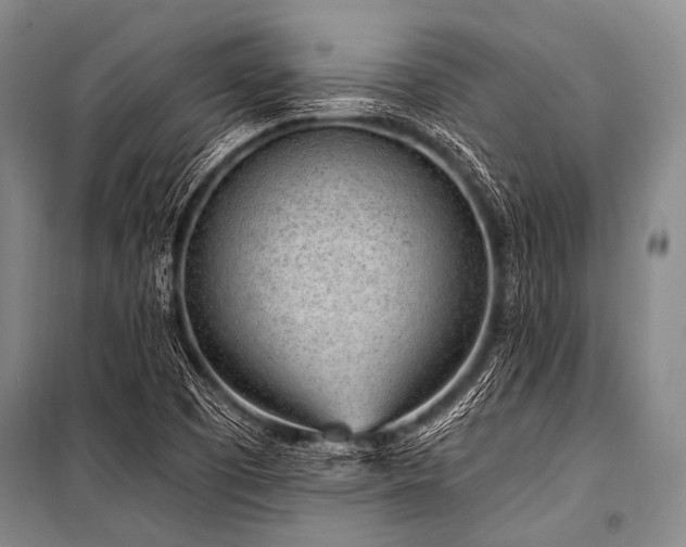 X0000101231457200806271500