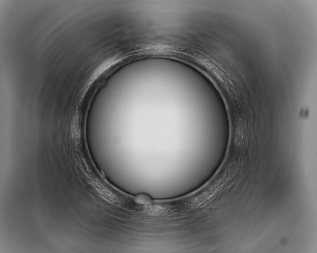 X0000101231458200806271500