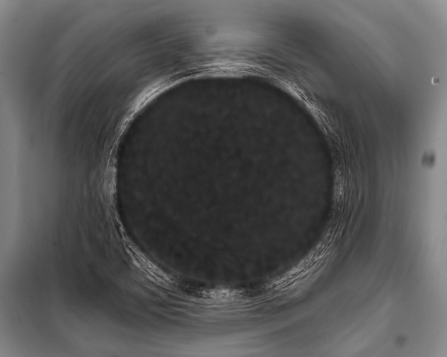 X0000101231459200806271500