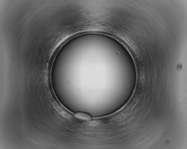 X0000101231460200806271500