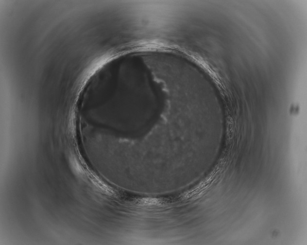 X0000101231463200806271459