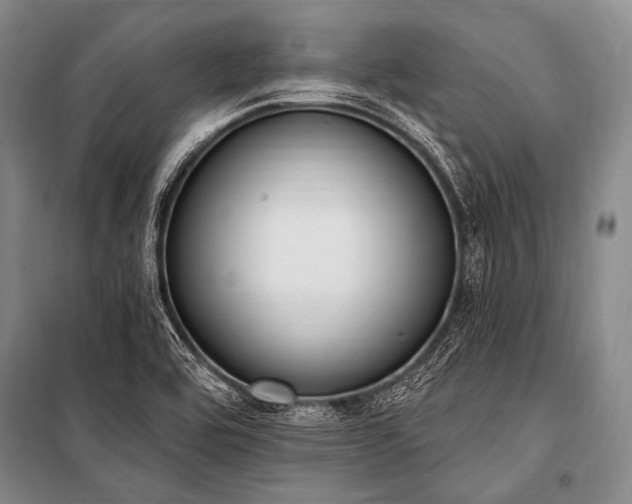 X0000101231464200806271459