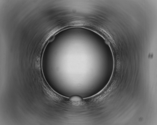 X0000101231465200806271459