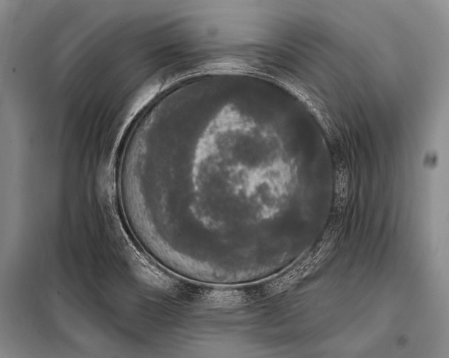 X0000101231466200806271459