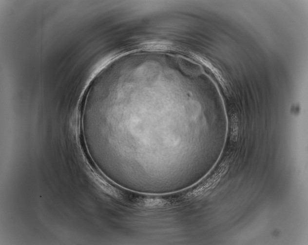 X0000101231467200806271459