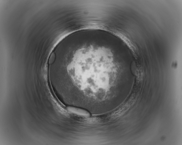 X0000101231468200806271459