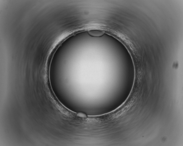 X0000101231469200806271459
