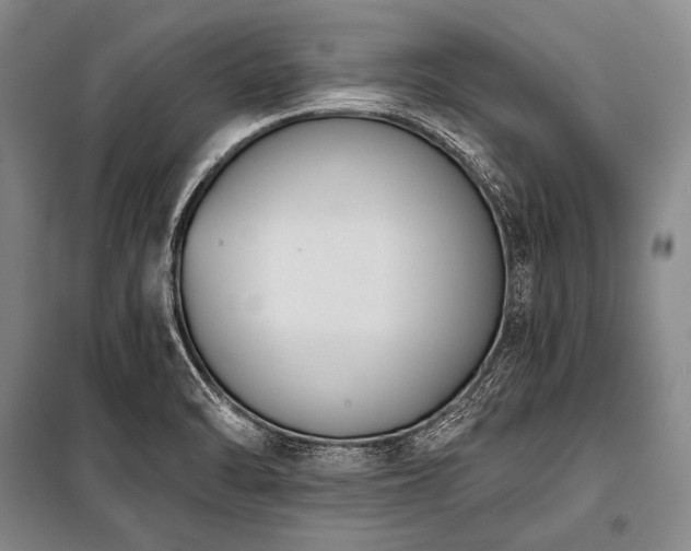 X0000101231470200806271459