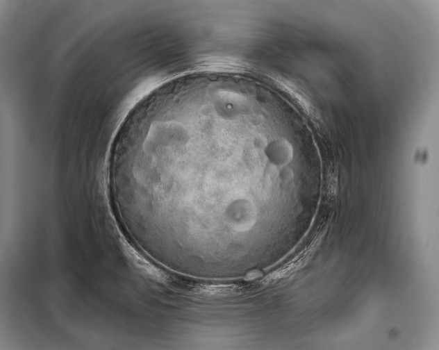 X0000101231471200806271459
