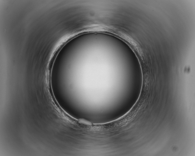X0000101231472200806271459