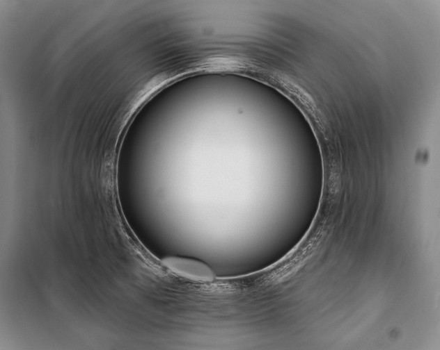 X0000101231473200806271459