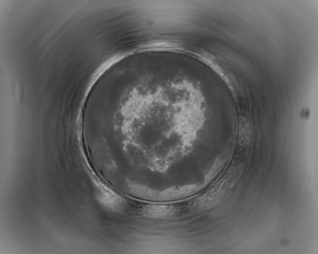 X0000101231474200806271459