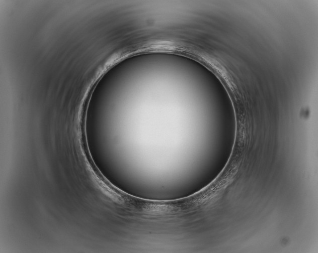 X0000101231475200806271459