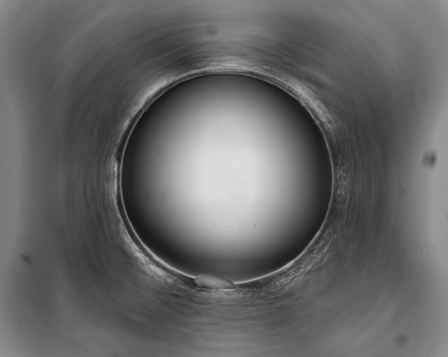 X0000101231476200806271459
