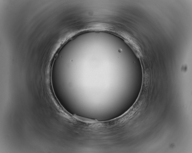 X0000101231477200806271459
