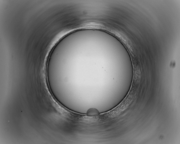 X0000101231478200806271459