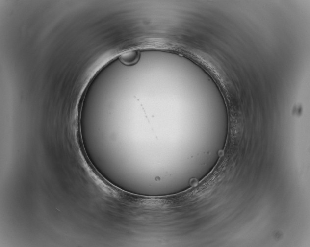 X0000101231479200806271459