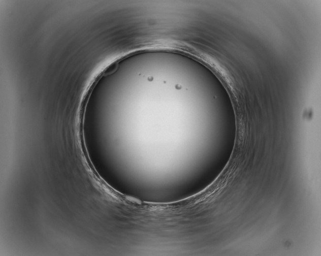 X0000101231480200806271459