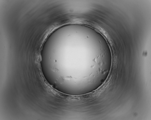 X0000101231481200806271459