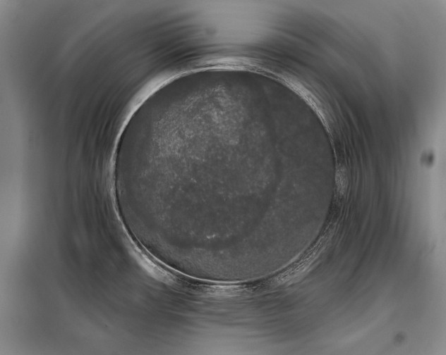 X0000101231482200806271459