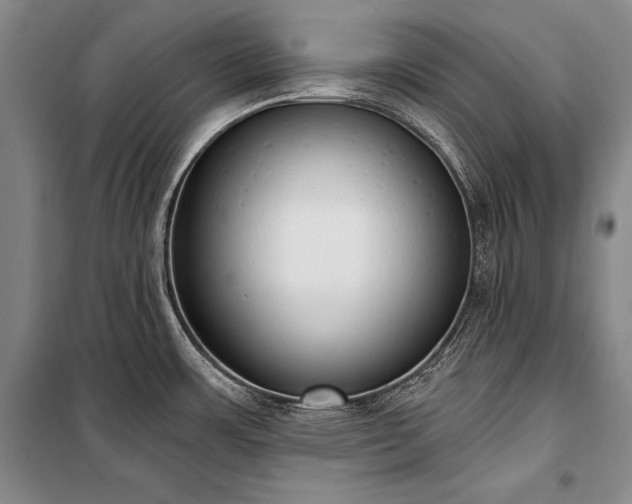 X0000101231483200806271459