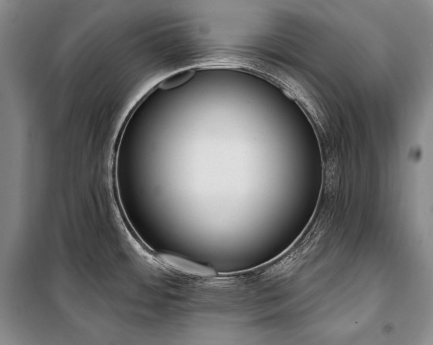 X0000101231484200806271459