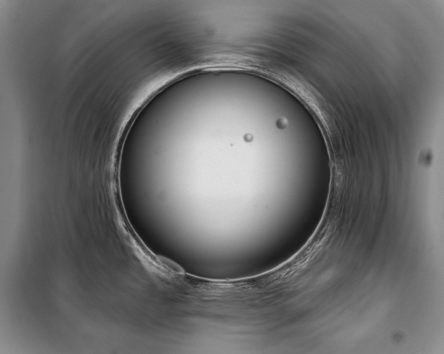 X0000101231485200806271459