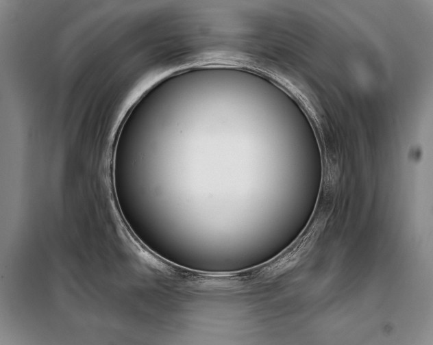 X0000101231486200806271459