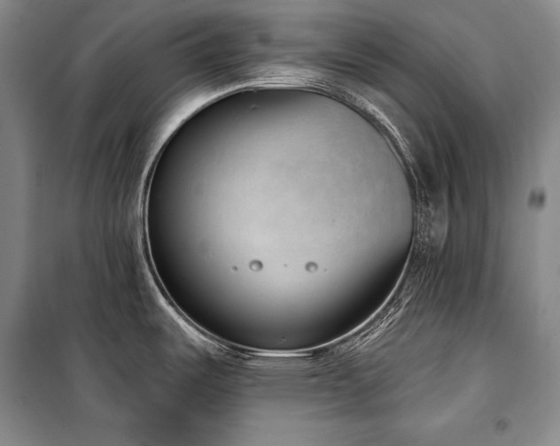 X0000101231487200806271459