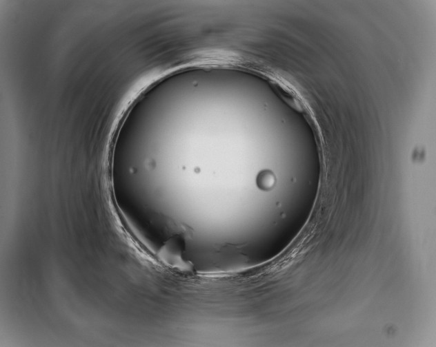 X0000101231488200806271459