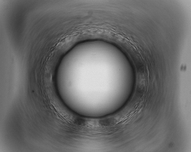X0000101231489200806271458