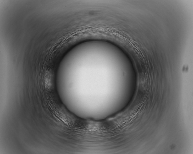 X0000101231490200806271458