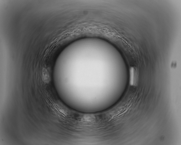 X0000101231491200806271459