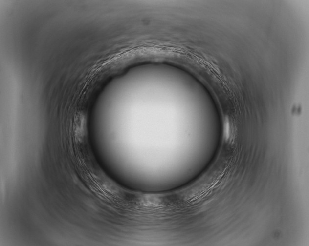 X0000101231492200806271459