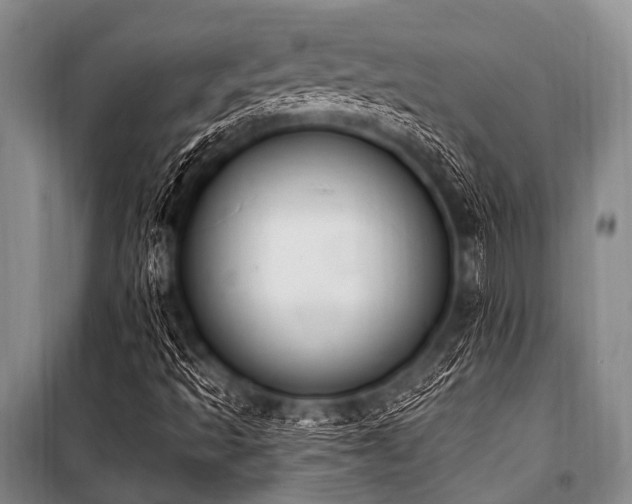 X0000101231493200806271459