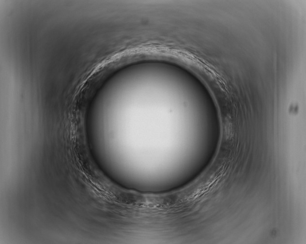 X0000101231494200806271459