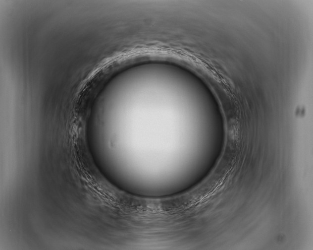X0000101231495200806271459
