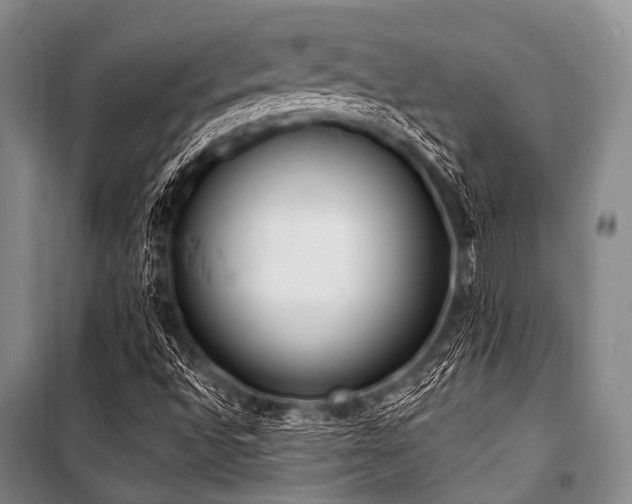 X0000101231496200806271459