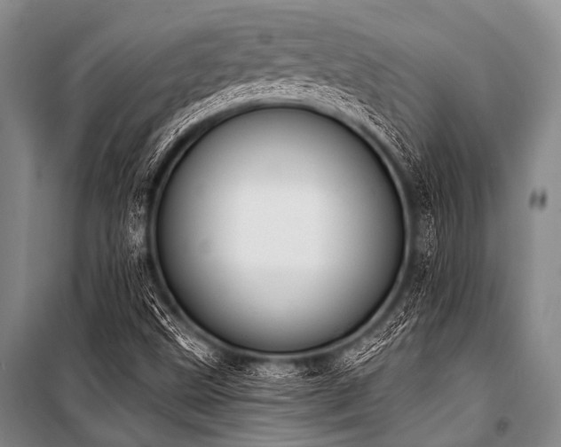 X0000101231499200806271459