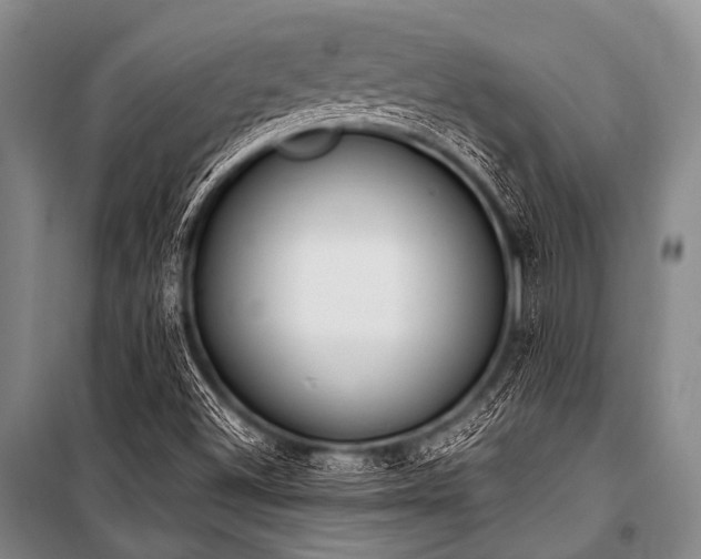 X0000101231500200806271459