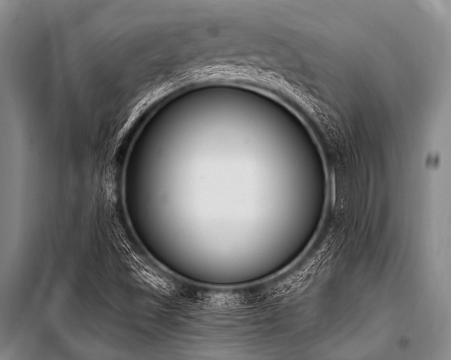 X0000101231501200806271459