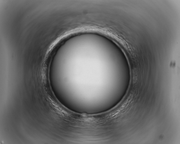 X0000101231502200806271459