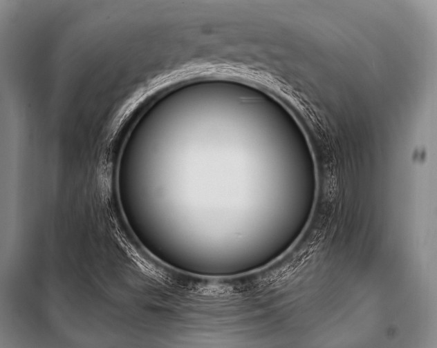 X0000101231503200806271459