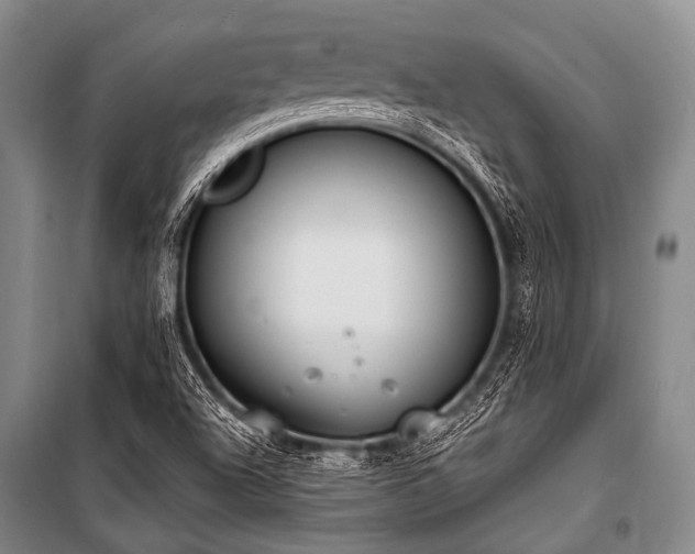 X0000101231504200806271459