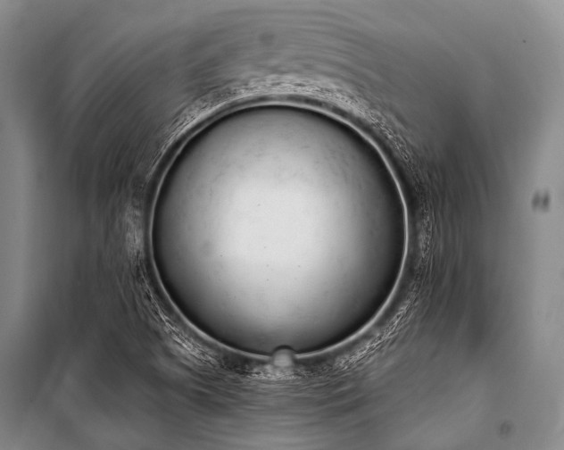 X0000101231505200806271459